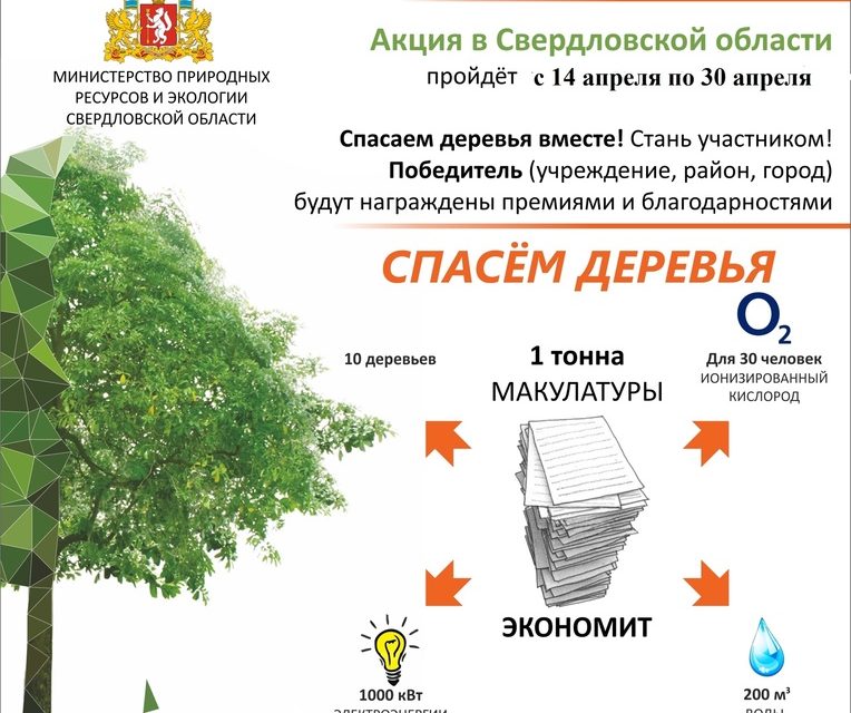 🌲 Всероссийский Эко-марафон Переработка «Сдай макулатуру – спаси дерево!»