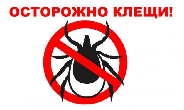 Памятка: осторожно, клещи!